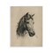 Stupell Industries Charcoal Horse Portrait Wall Plaque By Arlington Prints